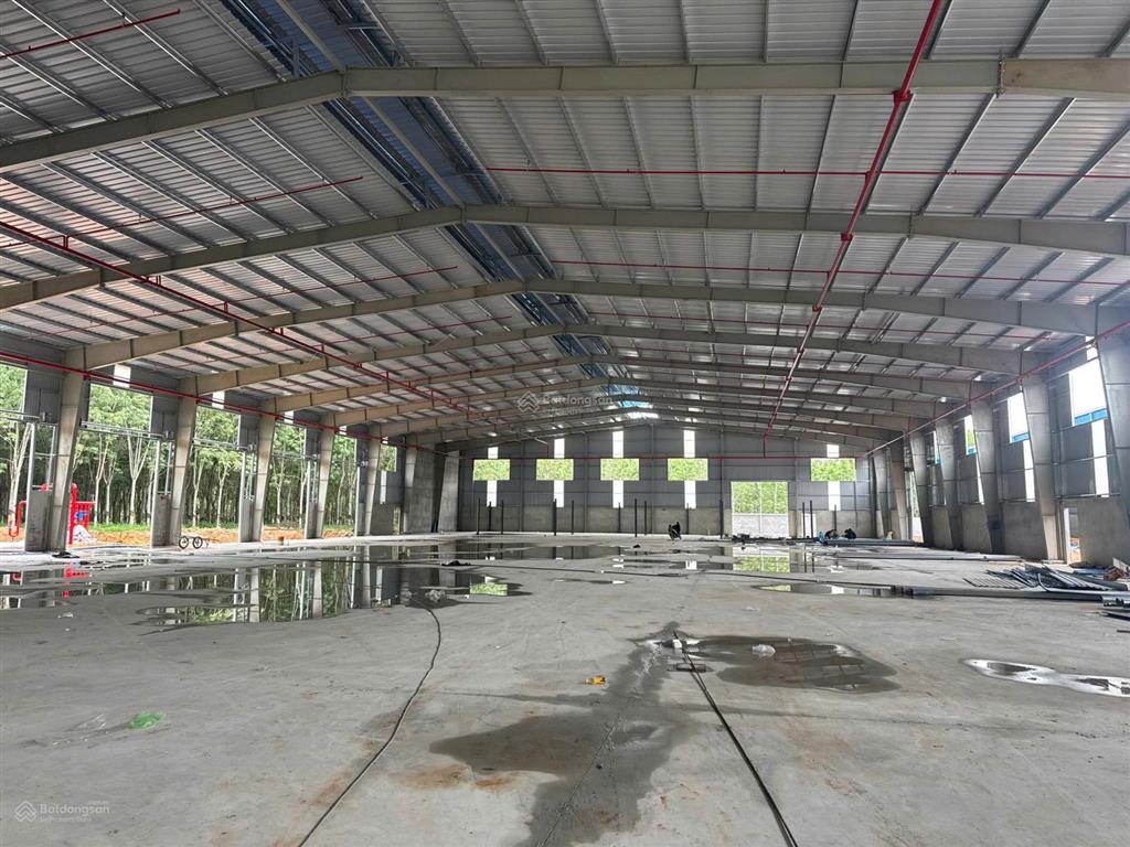 Cho thuê nhà xưởng, tổng khuôn viên 15.000m2, nhà xưởng 8.500 kcn tân đô long an, 097862788