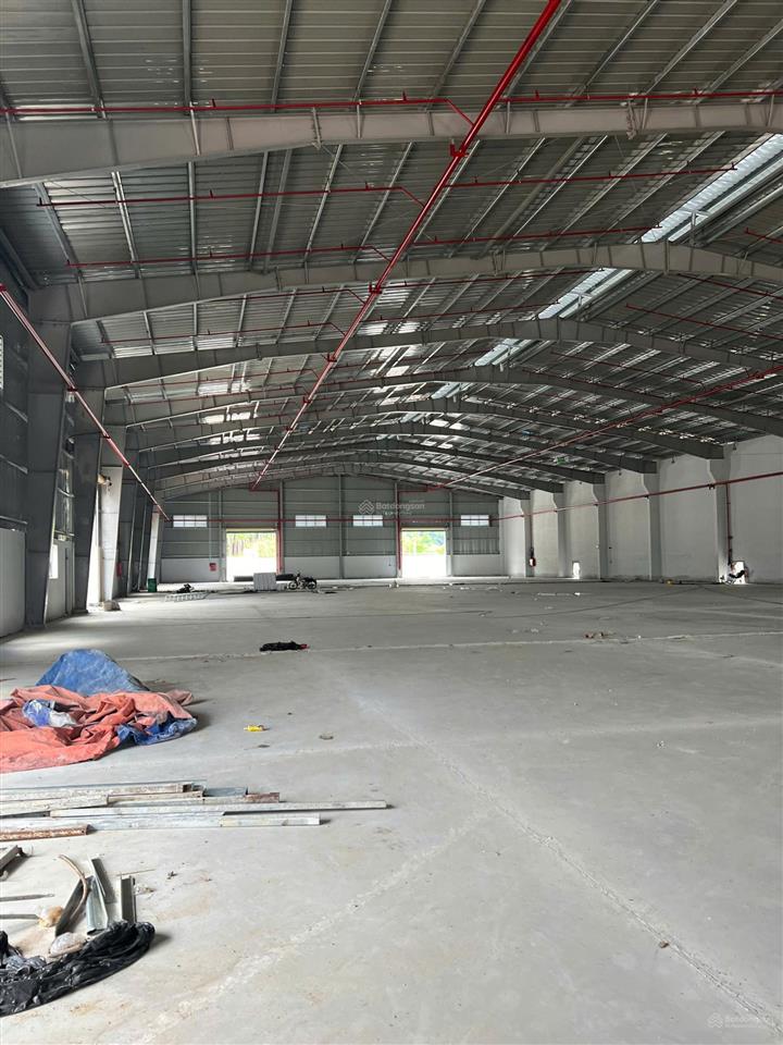 Cho thuê kho, nhà xưởng, đất tại phước hòa, giá thỏa thuận, diện tích 50000 m2, view đẹp