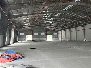 Cho thuê kho, nhà xưởng, đất tại phước hòa, giá thỏa thuận, diện tích 50000 m2, view đẹp