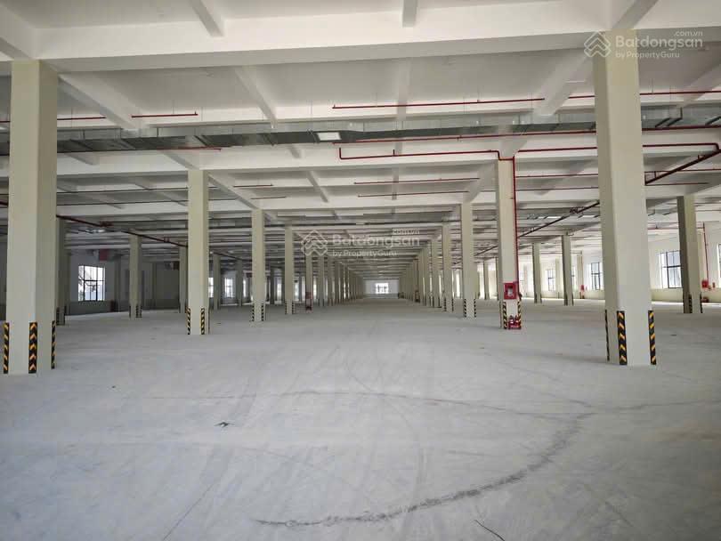 Cho thuê nhà xưởng trong kcn đất đỏ bà rịa vũng tàu diện tích 100.000m²  0978 627 ***