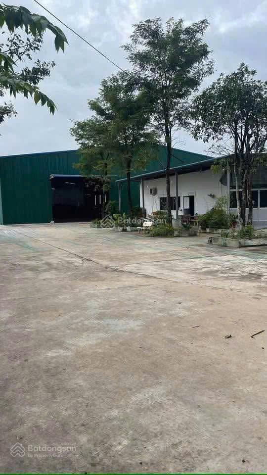 Bán nhà xưởng trừ văn thố, bàu bàng, bình dương (tp. hcm) diện tích 13.656m²  0978 627 ***