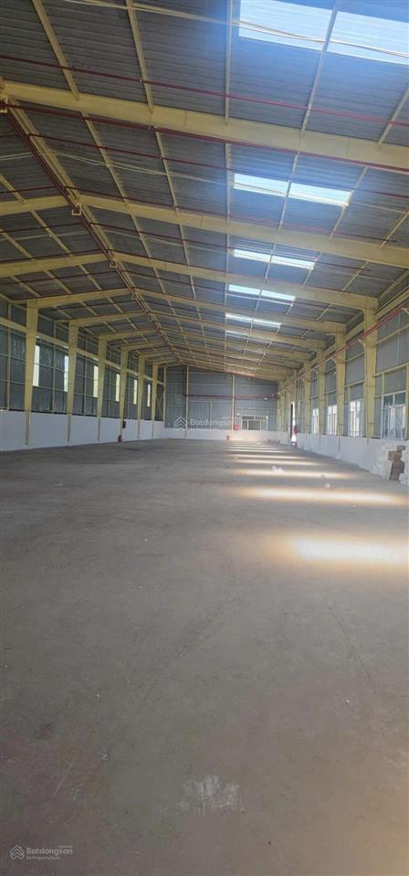 Bán gấp kho xưởng chính chủ 2500m² hệ thống pccc tự động đường container