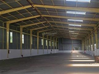 Bán gấp kho xưởng chính chủ 2500m2 hệ thống pccc tự động đường container