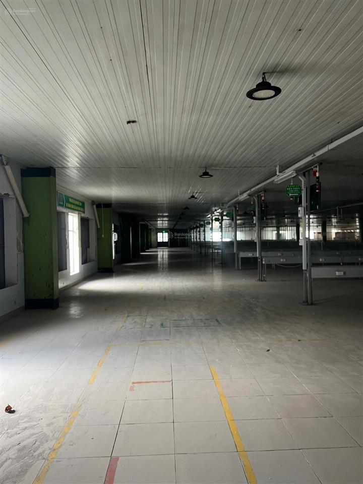 Cho thuê trọn gói nhà xưởng may mặc 20.000m² tại kcn long giang, tiền giang