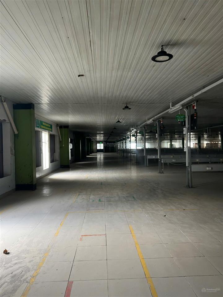Cho thuê trọn gói nhà xưởng may mặc 20.000m² tại kcn long giang, tiền giang