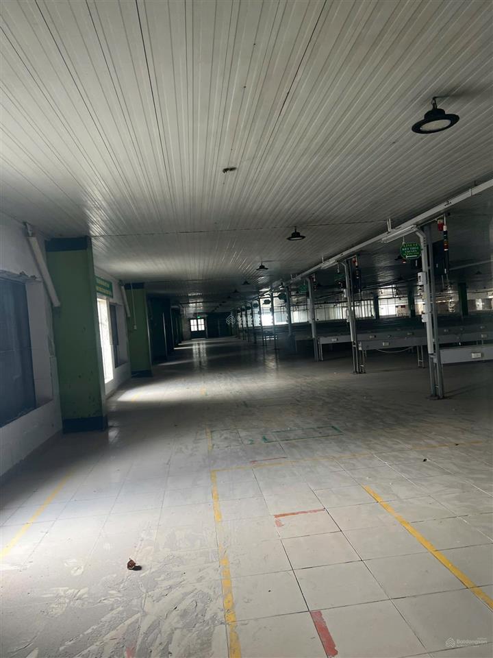 Cho thuê trọn gói nhà xưởng may mặc 20.000m² tại kcn long giang, tiền giang