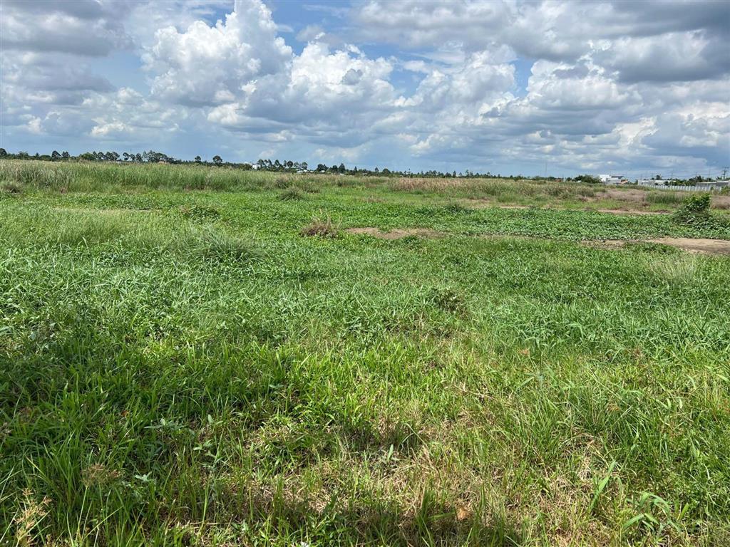 Cần bán 50.000m2 đất khu công nghiệp phú thuận, bến tre