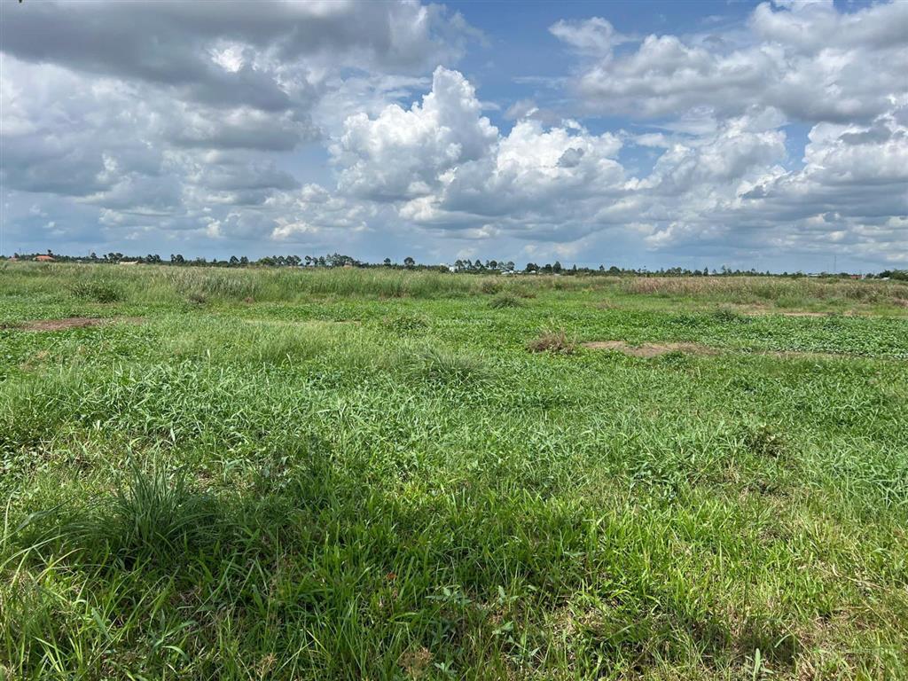 Cần bán 50.000m2 đất khu công nghiệp phú thuận, bến tre