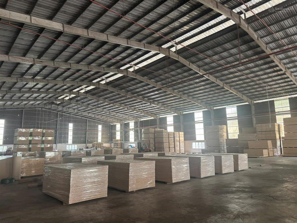 Cho thuê nhà xưởng mới cụm công nghiệp bàu bàng (giáp kcn)