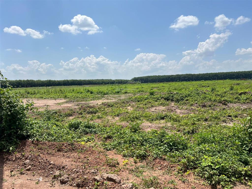 Bán gấp 50.000m² đất khu công nghiệp long giang pháp lý hoàn chỉnh
