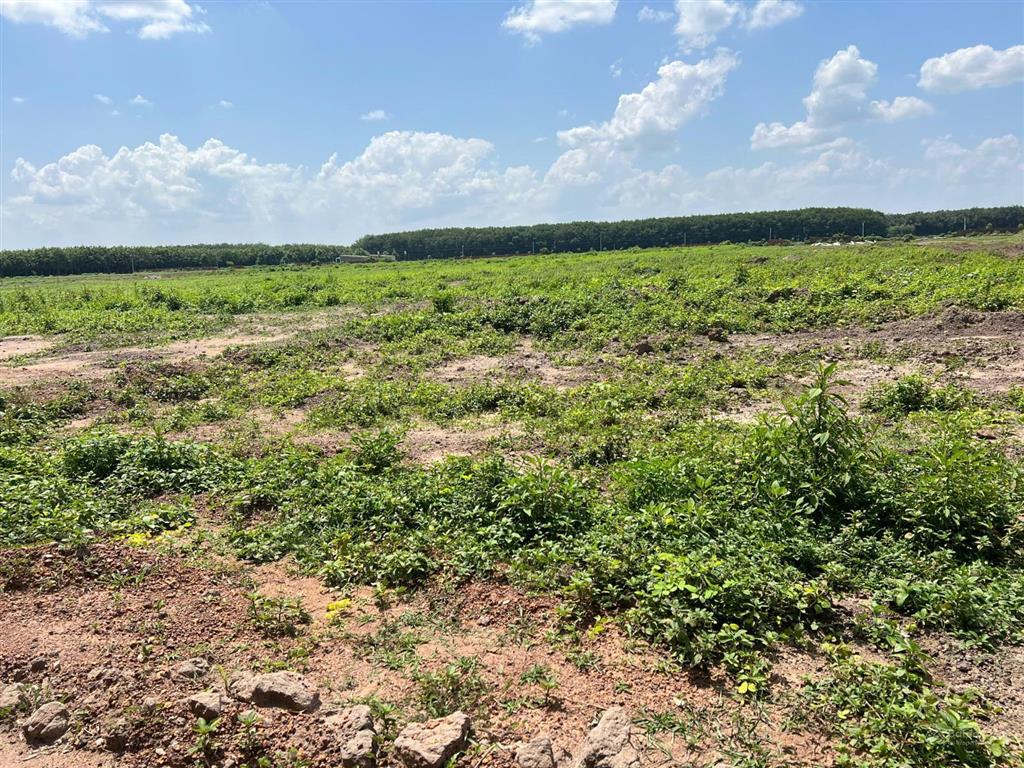 Bán gấp 50.000m² đất khu công nghiệp long giang pháp lý hoàn chỉnh