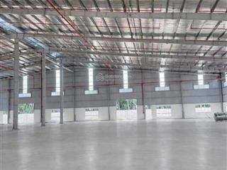 Bán xưởng lớn 11.300m2 đầy đủ nhà ăn, ký túc xá, nhà xe tại bàu bàng