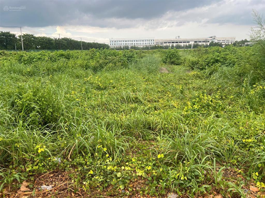 Bán đất skk 6.500m2 khu công nghiệp bàu bàng giá 185 usd/m2
