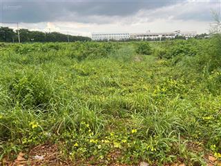 Bán đất skk 6.500m2 khu công nghiệp bàu bàng giá 185 usd/m2