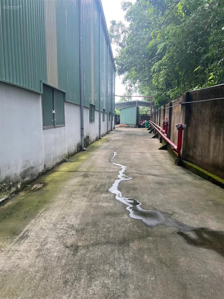Vĩnh tân, tân uyên bán xưởng 7.800m2, có sẵn 1.600m2 đang cho thuê + xưởng mới 3.100m2, giá 60 tỷ