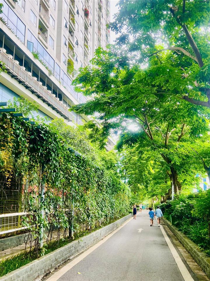 Cho thuê căn hộ ecolife tố hữu, 2 phòng ngủ giá 12 triệu/tháng  0911 400 ***