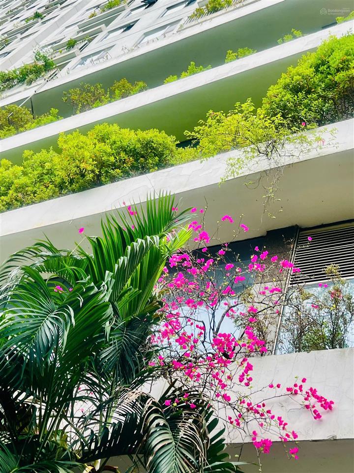 Cho thuê căn hộ ecolife tố hữu, 2 phòng ngủ giá 12 triệu/tháng  0911 400 ***
