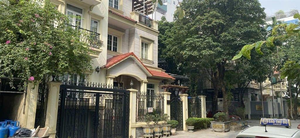 Nhà pl ô tô tránh vỉa hè trần thái tông 237m2 x 5 tầng, lô góc, nhỉnh 127 tỷ. có thể xây 9 tầng