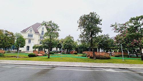 Biệt thự song lập vinhomes the harmony 216m chỉ 67 tỷ