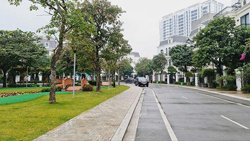 Biệt thự song lập 216m2 vinhomes the harmony giá chỉ 67 tỷ hiếm có cắt lỗ sâu.