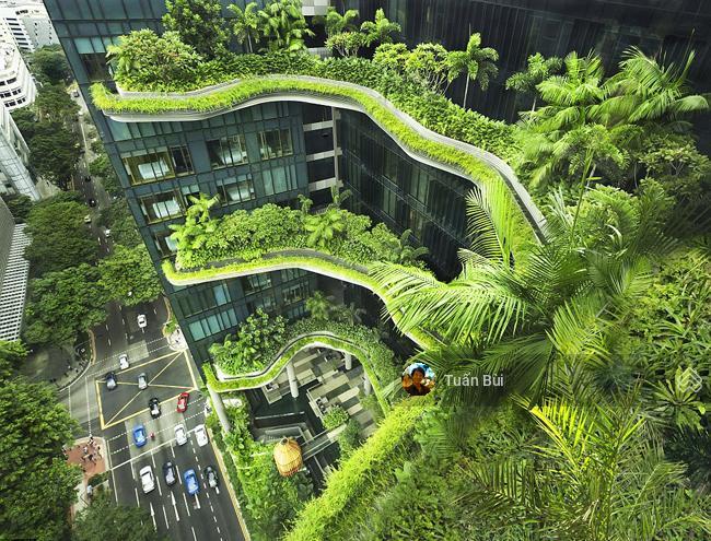 Bán khách sạn 35 phòng trung tâm q1, dòng tiền khủng. tài sản đang khai thác và có thể tối ưu thêm