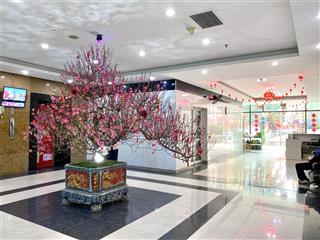 Cho thuê 1000m2 sàn văn phòng thăng long tower, mạc thái tổ chia linh hoạt từ 100m2, mọi mô hình