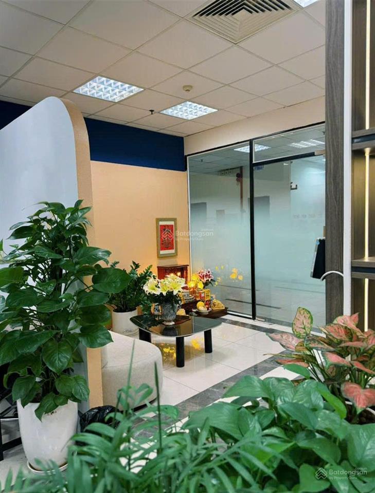 Cho thuê văn phòng tại quận thanh xuân, diện tích 300m2 giá chỉ từ 260 nghìn/m2/ th (0989 410 ***)