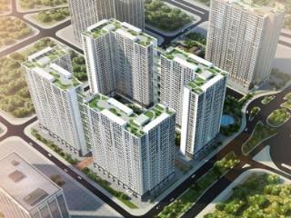 Bán shophouse thương mại tòa ecohome 3, bắc từ liêm 126m2 sổ đỏ lâu dài đang có dòng tiền