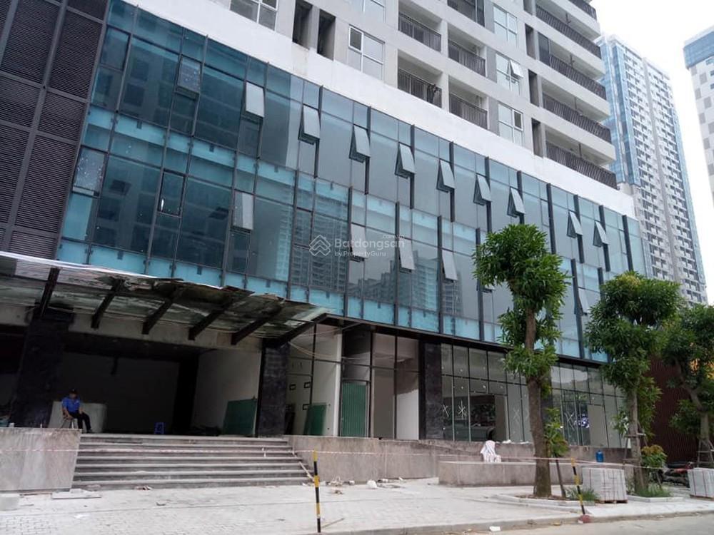 Cho thuê diện tích tầng 1 tòa 90 nguyễn tuân, 75m2 phù hợp làm spa, hiệu thuốc, quán ăn
