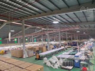 Cho thuê kho xưởng kcn hòa xá, nam định, 8000m2, kho xưởng tiêu chuẩn pccc tự động 0989 031 ***