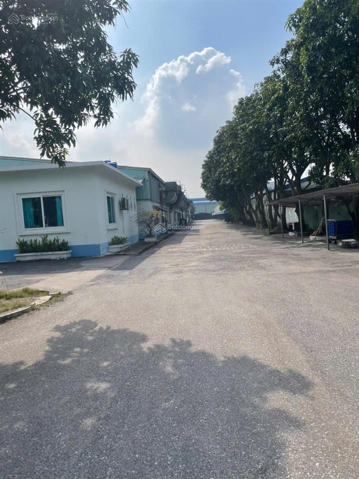 Cho thuê nhà xưởng tại bạch sam, mỹ hào, hưng yên 5000m2, pccc tự động, giá rẻ 78n/m2 0989 031 ***