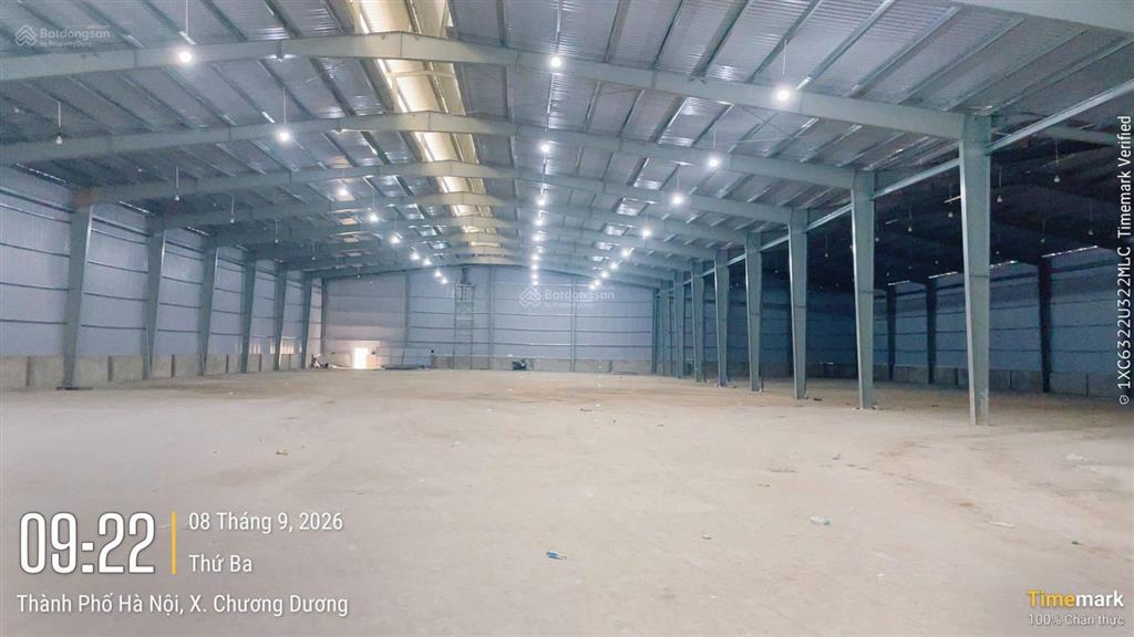 Cho thuê kho xưởng 97.000/m2 ql1a thường tín 2300m2, có pccc tự động pháp lý chuẩn  0989 031 ***