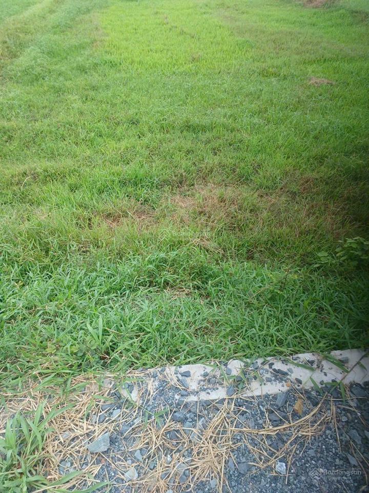 Bán đất 500m² khu dân cư xã trung an, củ chi gần ngã tư tân quy, giá 2.5 tỷ