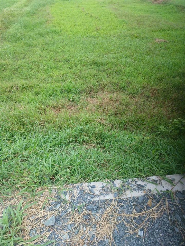 Bán đất 500m² khu dân cư xã trung an, củ chi gần ngã tư tân quy, giá 2.5 tỷ