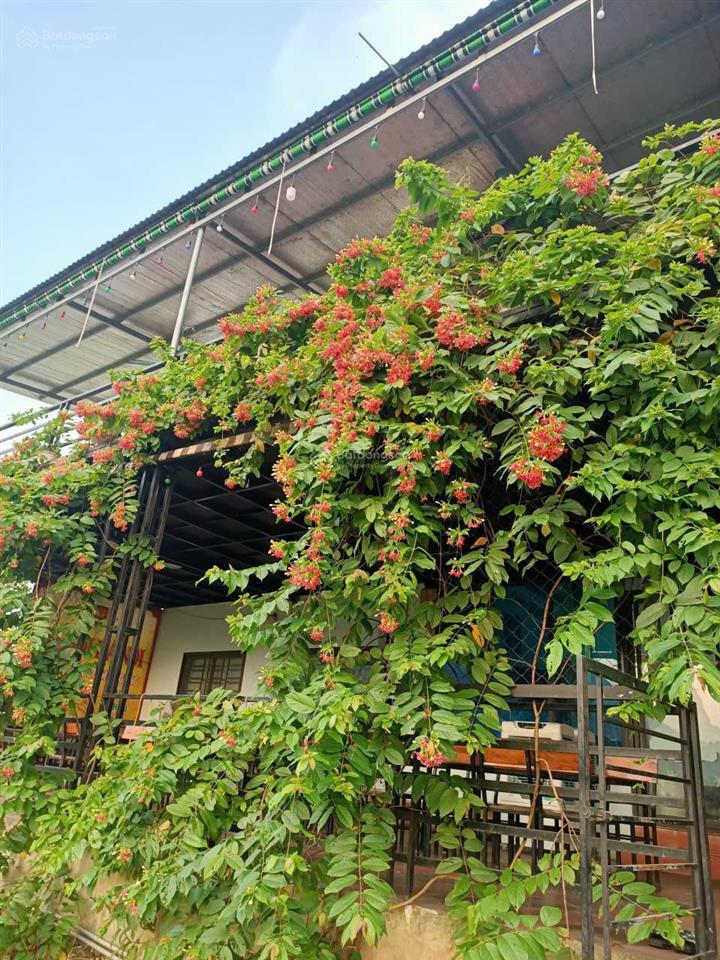 Bán đất tặng nhà hàng sẵn kinh doanh giá cực kỳ hấp dẫn