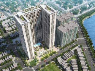 Cần ra nhanh giỏ hàng các căn hộ phú tài residence từ 1pn, 2pn, 3pn giá cực kỳ tốt