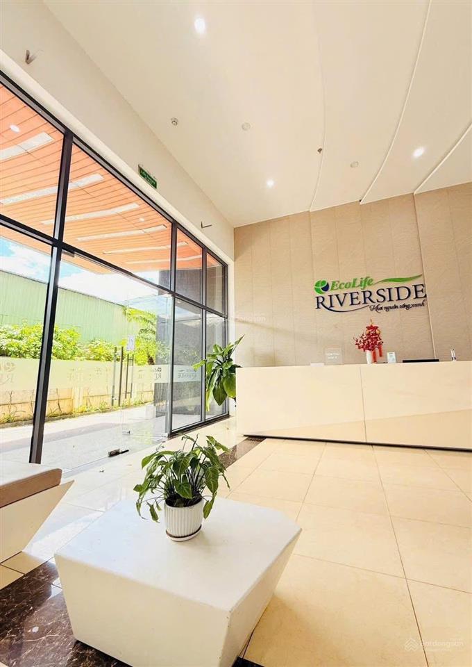 Giỏ hàng thương mại căn hộ ecolife  đang sốt ở quy nhơn