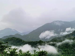 Siêu phẩm hơn 4 ha đất view "đáng giá 10 triệu đô" tại ô quý hồ  sa pa!