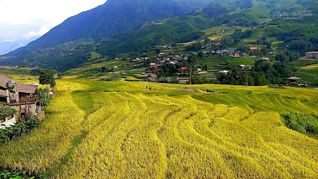 3.618 m2 view trực diện thung lũng mường hoa  sẵn 400m2 thổ cư
