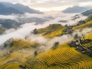 300m2 full thổ cư "tâm điểm" giữa bản làng tả phìn