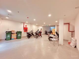 Giảm mạnh 2ty  bán gấp chdv 7 tầng ngang 7,5m thu 135tr/th  thang máy pccc đủ ở nguyễn oanh gvap