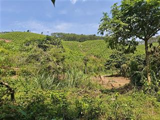 Bán quỹ đất đồi vườn 2,67ha view hồ trại lốc, đối diện lăng vua trần anh tông  quảng ninh