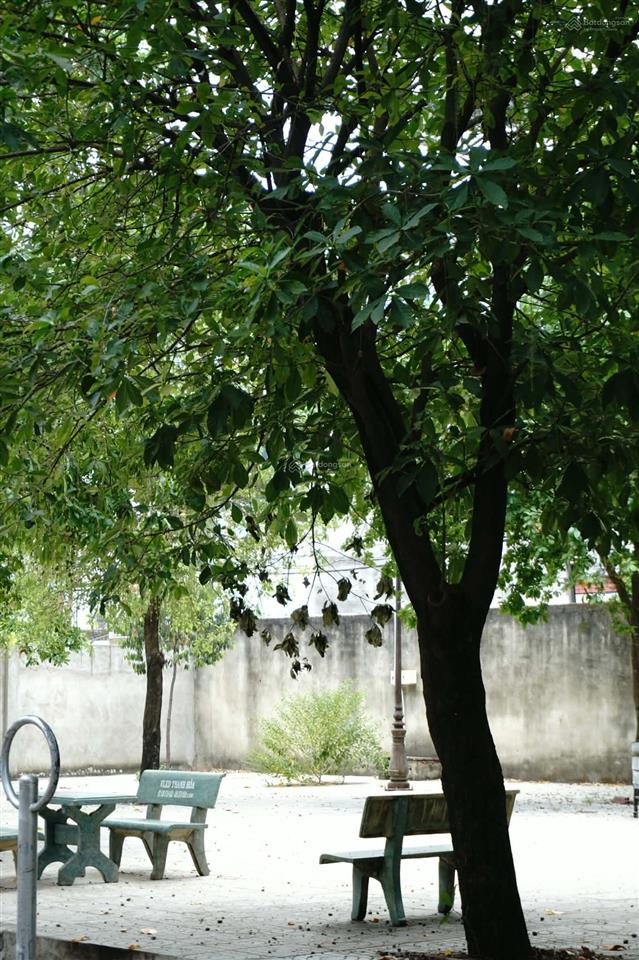 [chính chủ] cho thuê nhà phố đầu hẻm 12m đông hưng thuận 10