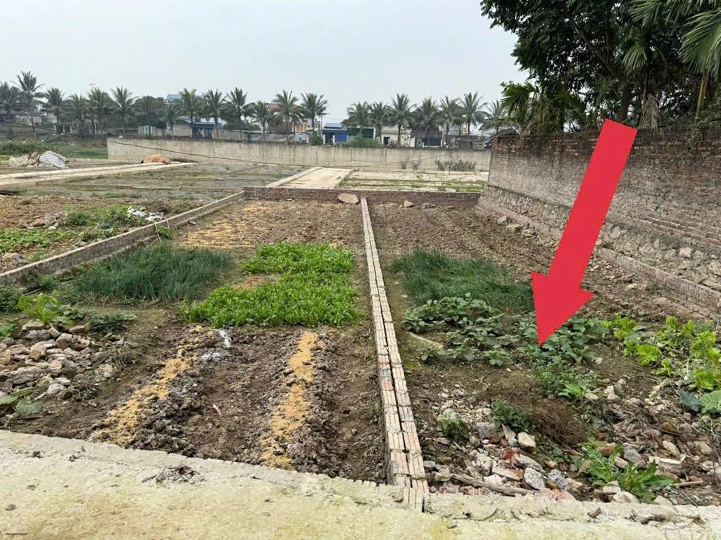 Chính chủ bán lô đất 83m2, cách tỉnh lộ 424 700m, cách vành đai 5 300m. giá 1x triệu/m, x trung học
