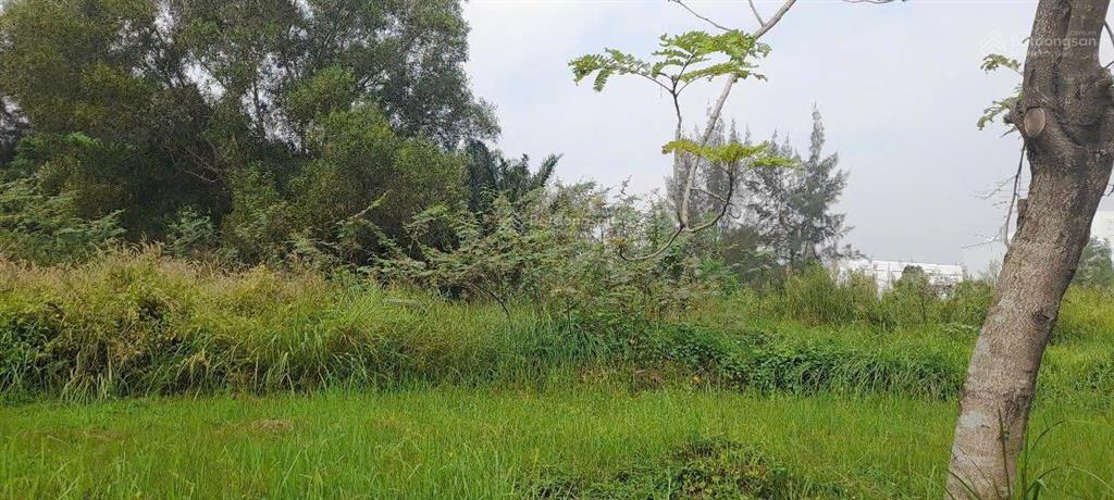 Chuyển nhượng nhà xưởng tại khu công nghiệp hiệp phước, có 200m mặt sông, hàng hiếm giá siêu hời