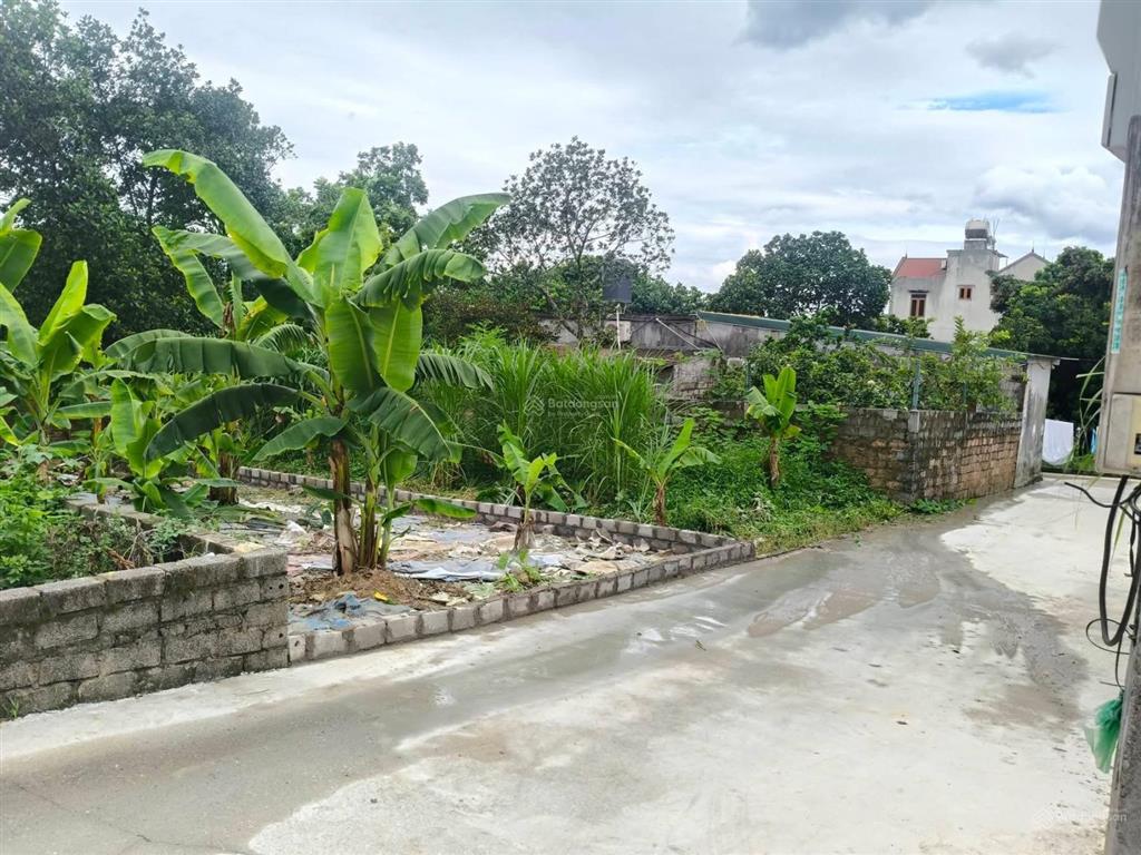 Bác nào thuộc diện giãn dân, giải phóng mặt bằng hoặc đang có tiền muốn tích lũy tài sản
