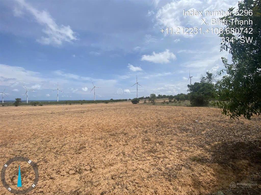Ngộp ngân hàng nên cần bán gấp 19.000 m2 đất vườn, gần bãi biển gành rài, bình thuận
