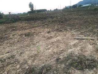 Bán đất mặt đường ql55b tại thị trấn tân nghĩa, giá thỏa thuận, 3777 m2