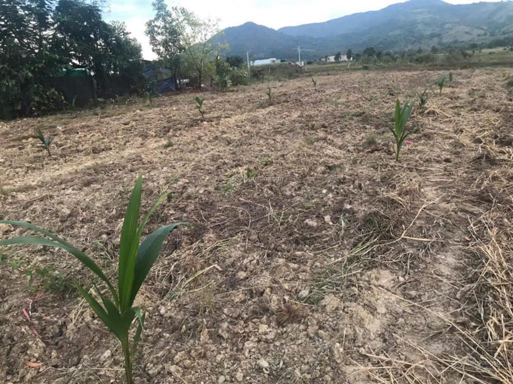 Bán đất mặt đường ql55b tại thị trấn tân nghĩa, giá thỏa thuận, 3777 m2