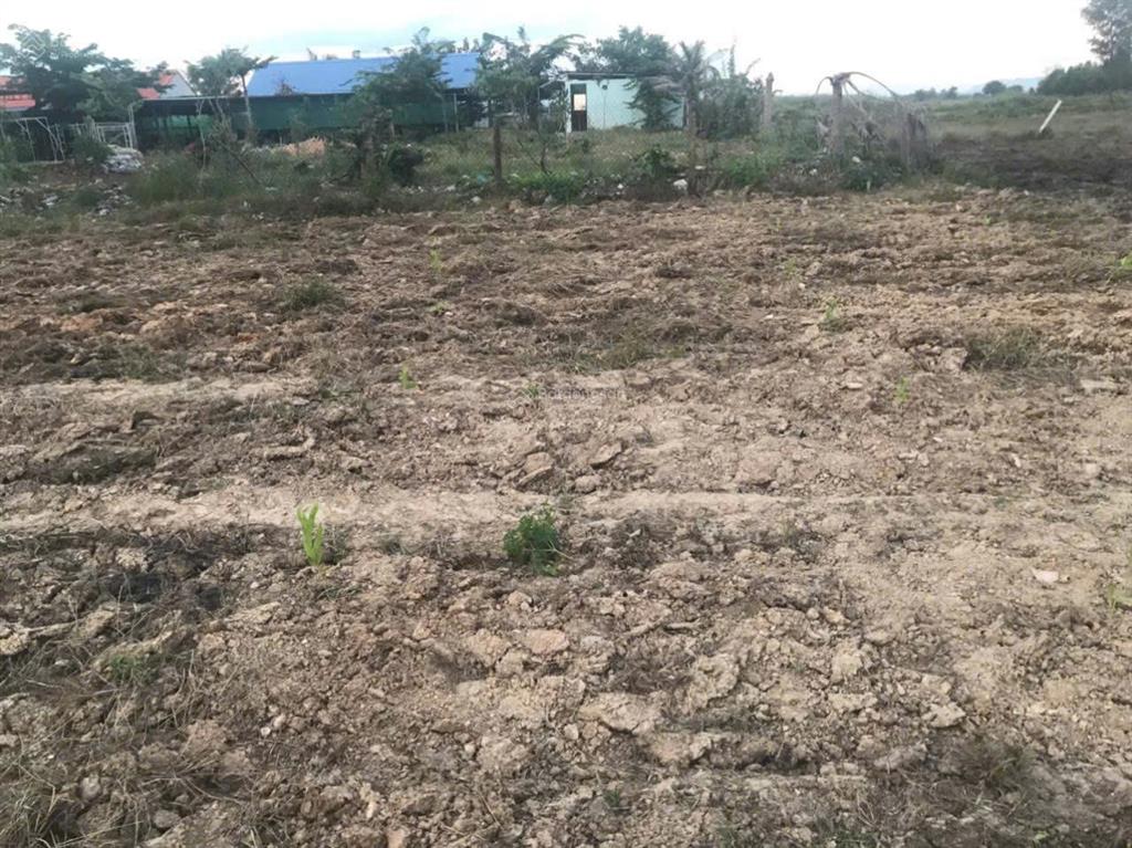 Bán đất mặt đường ql55b tại thị trấn tân nghĩa, giá thỏa thuận, 3777 m2